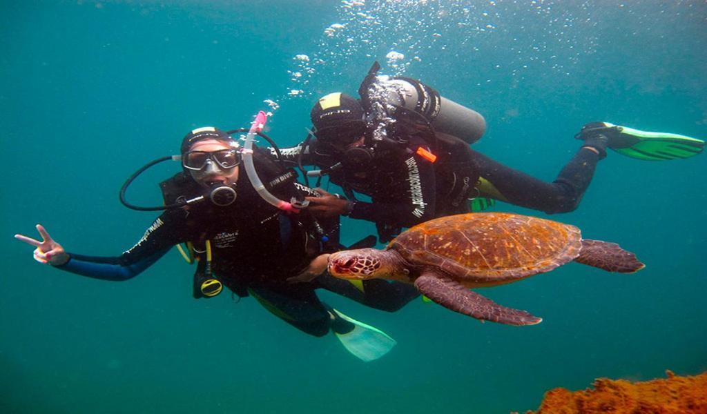 Pousada Palmeiras Bombinhas Exteriér fotografie